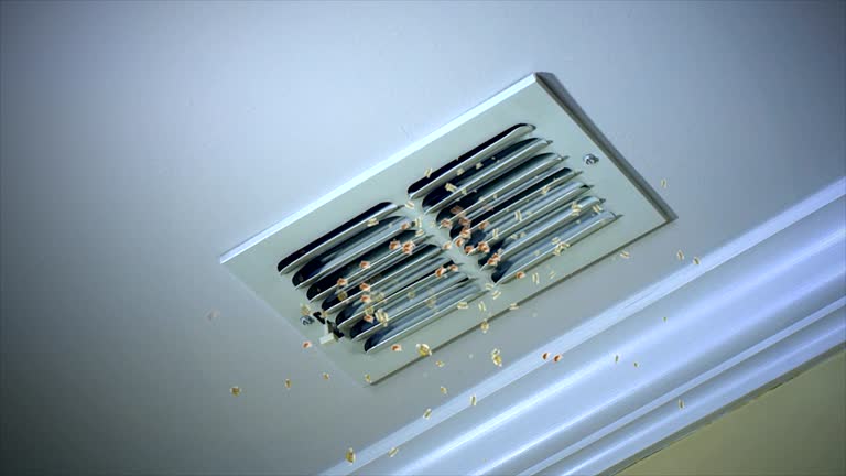 Best Affordable Duct Cleaning Services  in Wisr, NE