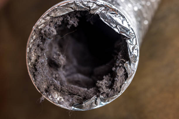 Reliable Wisner, NE Airduct Cleaning Solutions